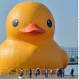 Meet your Posher, Katrina